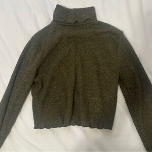 Zara Turtleneck Sweater
